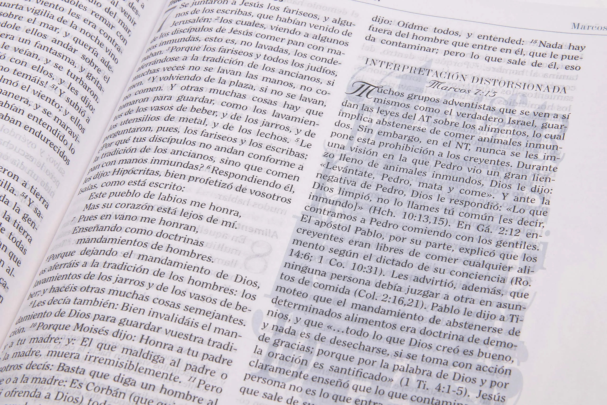 BIBLIA DE ESTUDIO APOLOGÉTICA REINA VALERA 1960- NEGRO IMITACIÓN PIEL