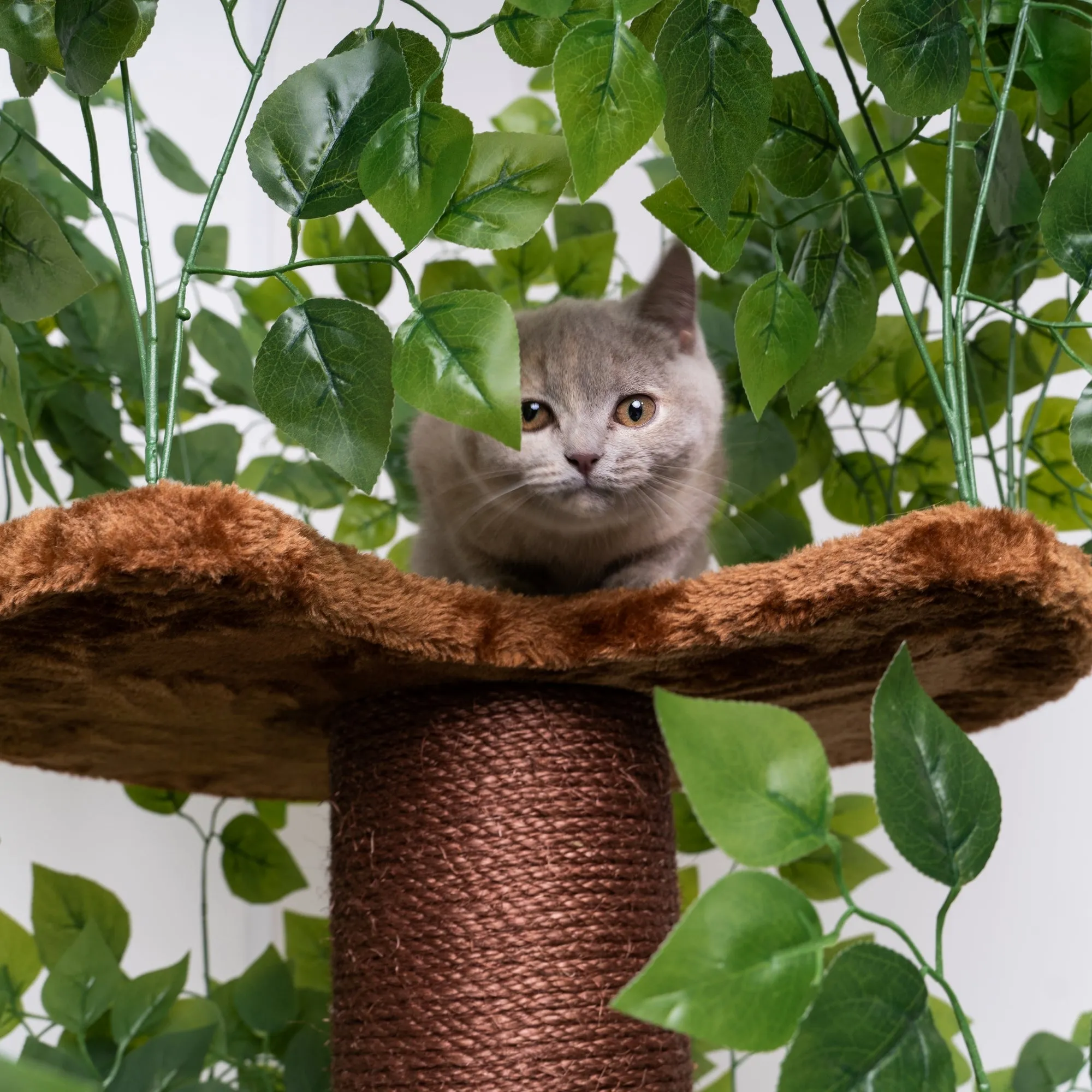 Árbol Rascador Para Gatos Diseño Natural Leaves