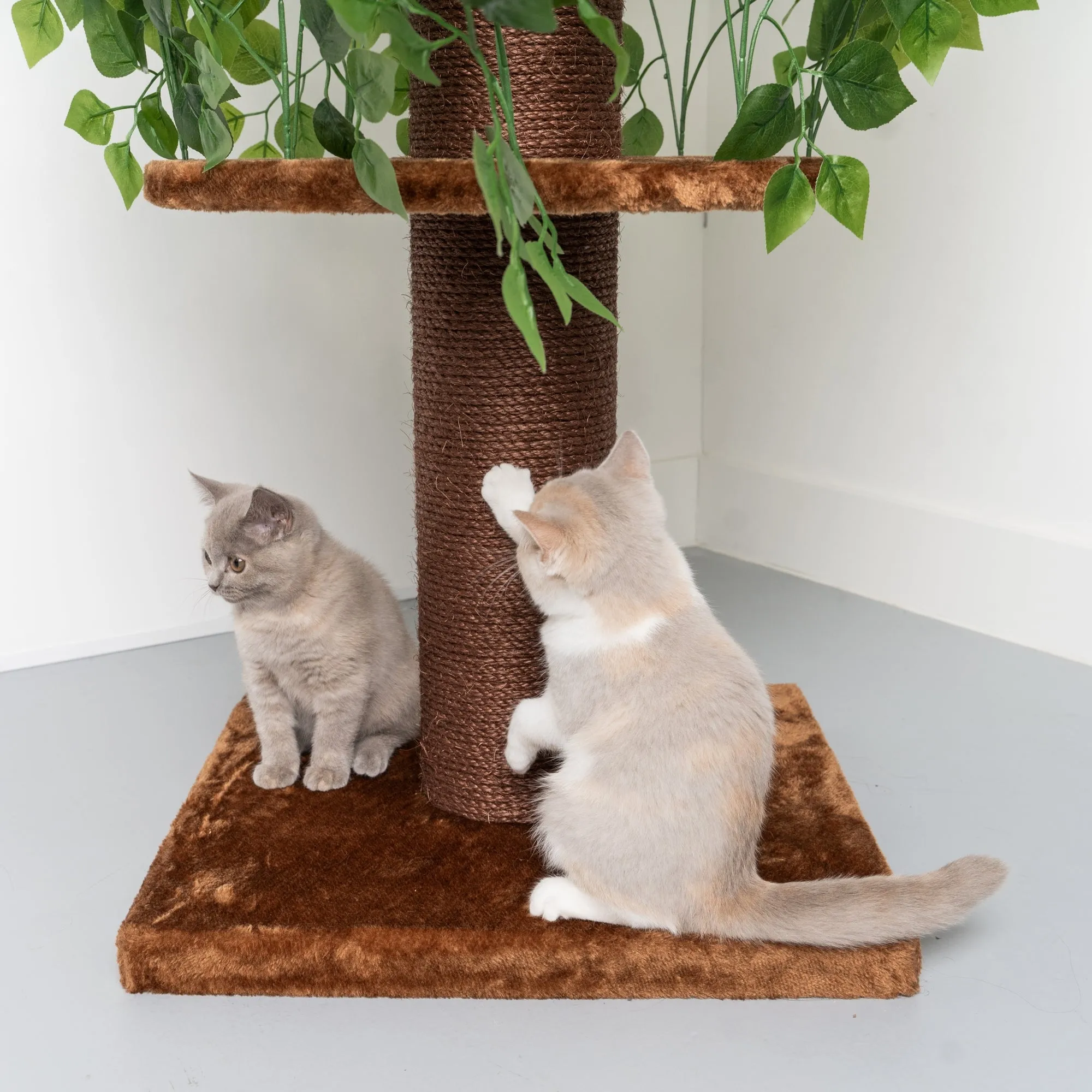 Árbol Rascador Para Gatos Diseño Natural Leaves