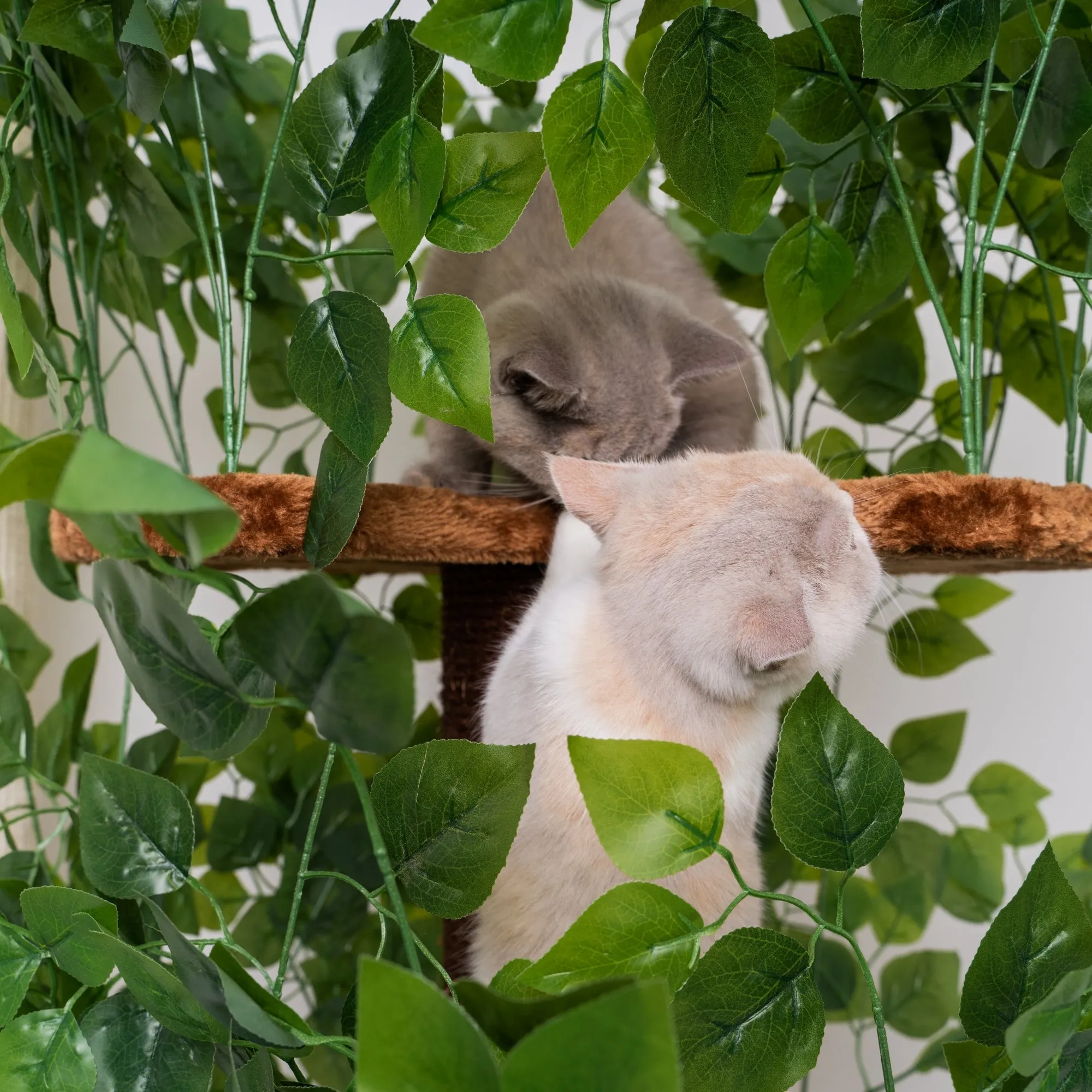 Árbol Rascador Para Gatos Diseño Natural Leaves